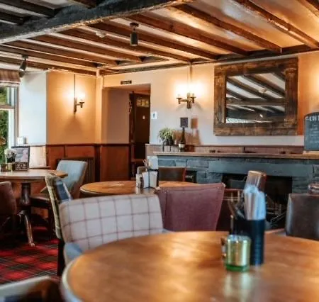 The Mortal Man 트를백